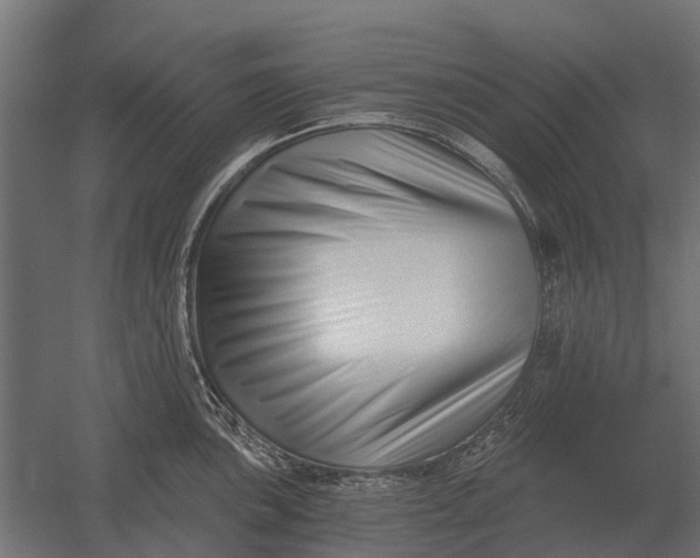 X0000052941051200507300013