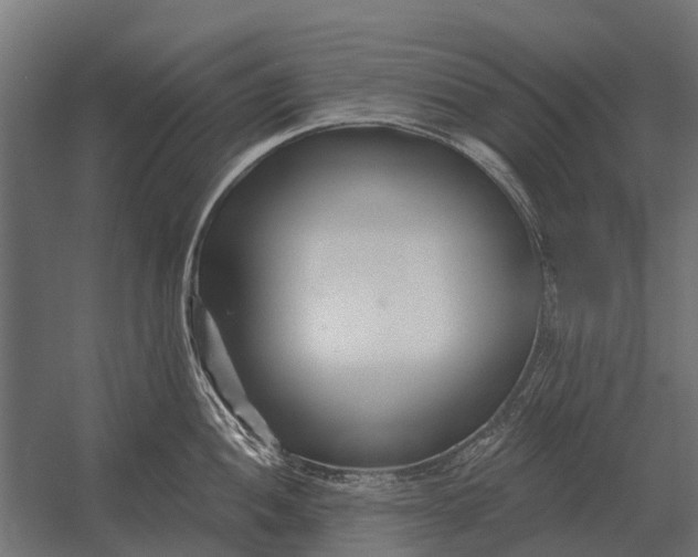 X0000052941052200507300013