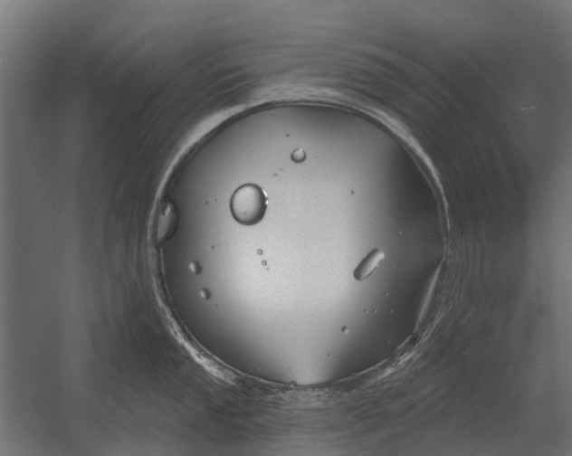 X0000052941053200507300013