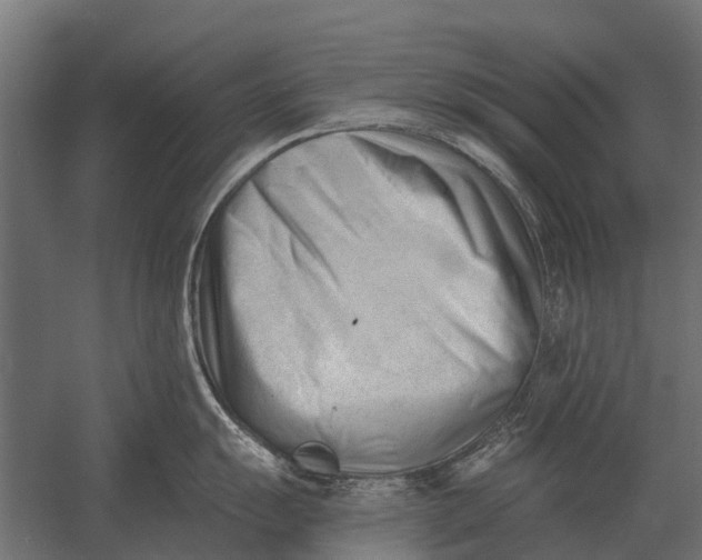 X0000052941055200507300013