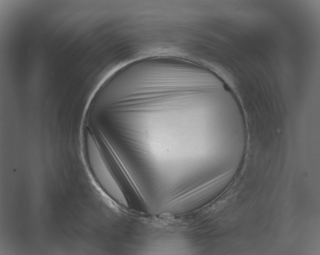 X0000052941056200507300013