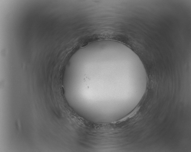 X0000052941057200507300012