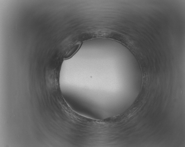 X0000052941058200507300012