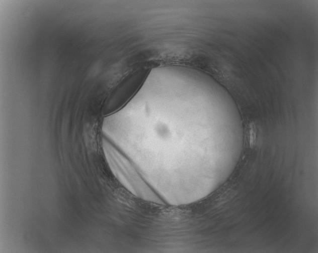 X0000052941059200507300012