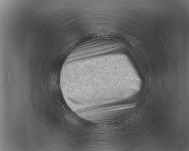 X0000052941060200507300012