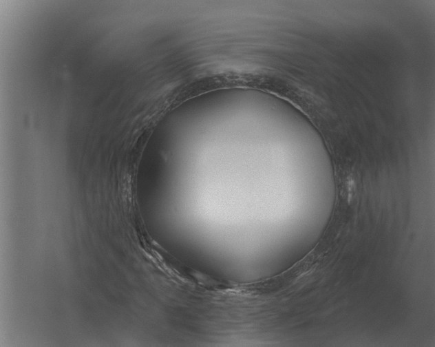 X0000052941061200507300012