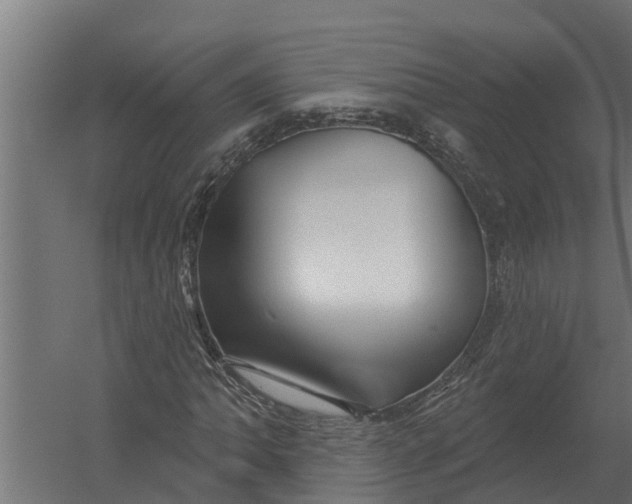 X0000052941062200507300012