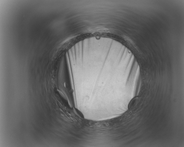 X0000052941063200507300012