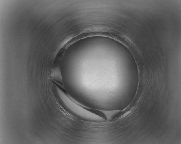 X0000052941065200507300012