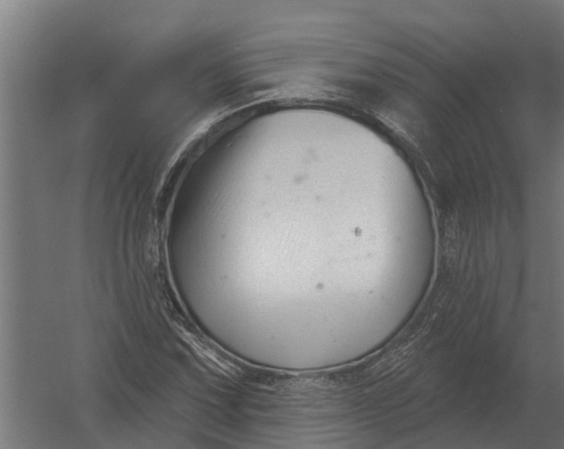 X0000052941067200507300012