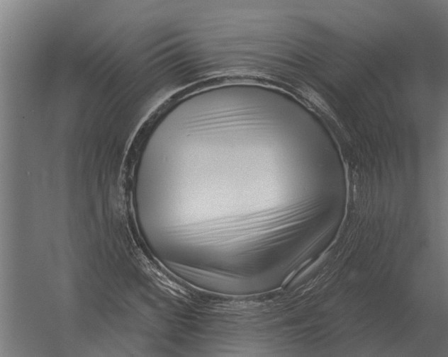 X0000052941068200507300012