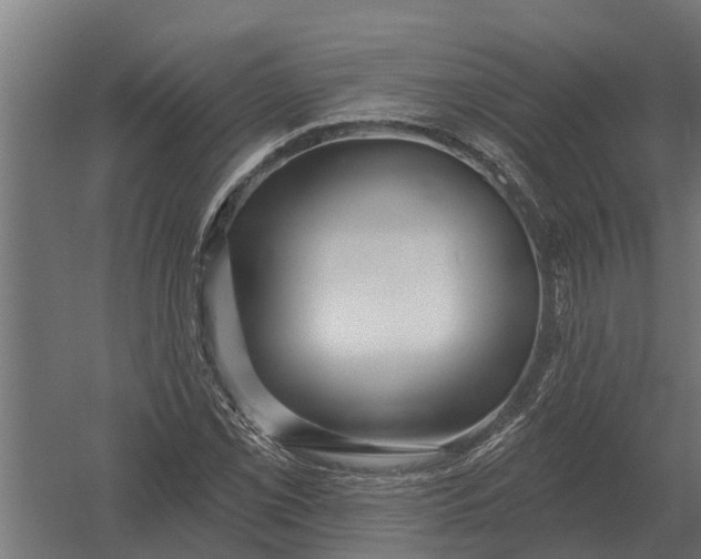 X0000052941069200507300012