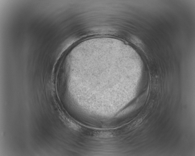 X0000052941071200507300012