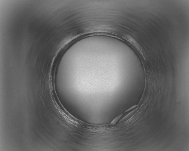 X0000052941072200507300012