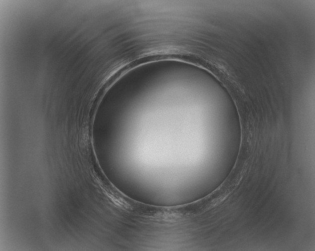 X0000052941073200507300012