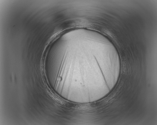 X0000052941074200507300012