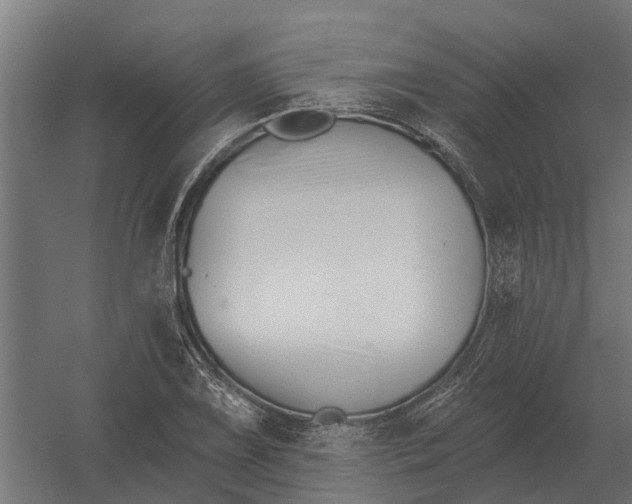 X0000052941075200507300012