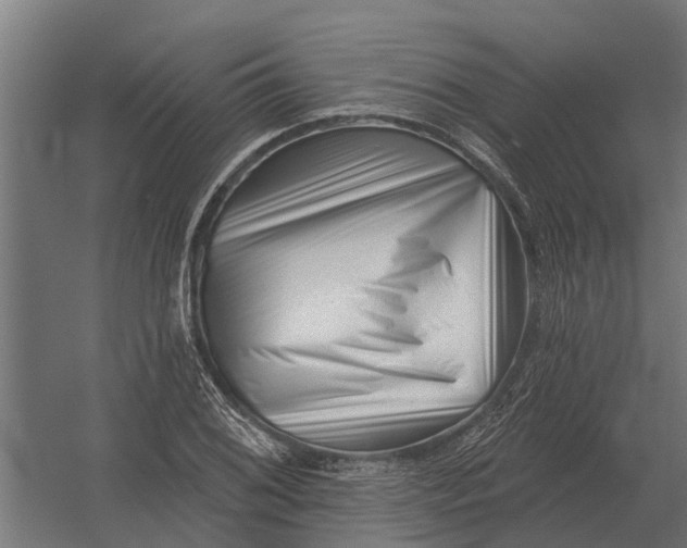 X0000052941076200507300012