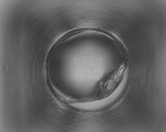 X0000052941077200507300012