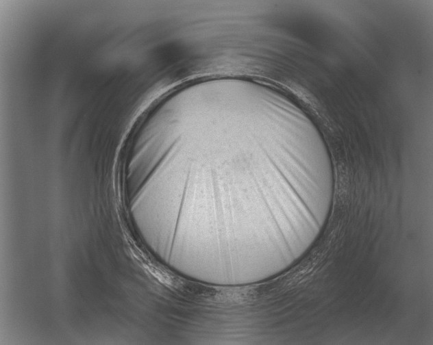 X0000052941078200507300012