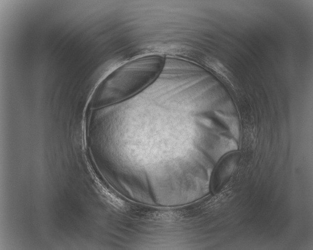 X0000052941079200507300012