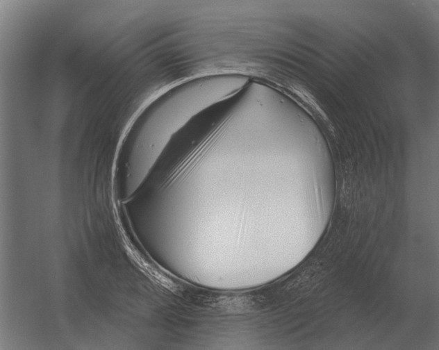 X0000052941080200507300012