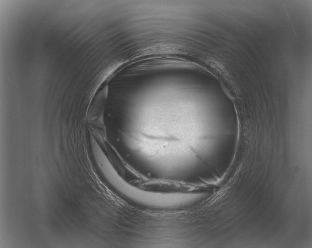 X0000052941081200507300012