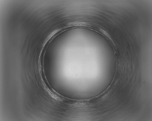 X0000052941082200507300012