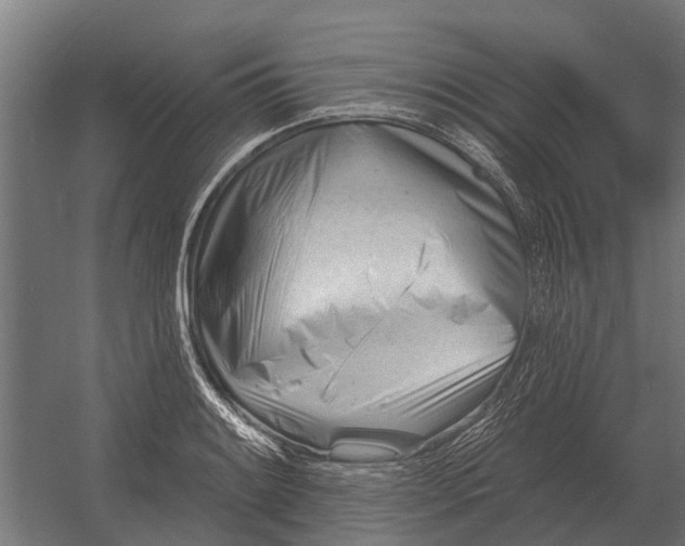 X0000052941084200507300012