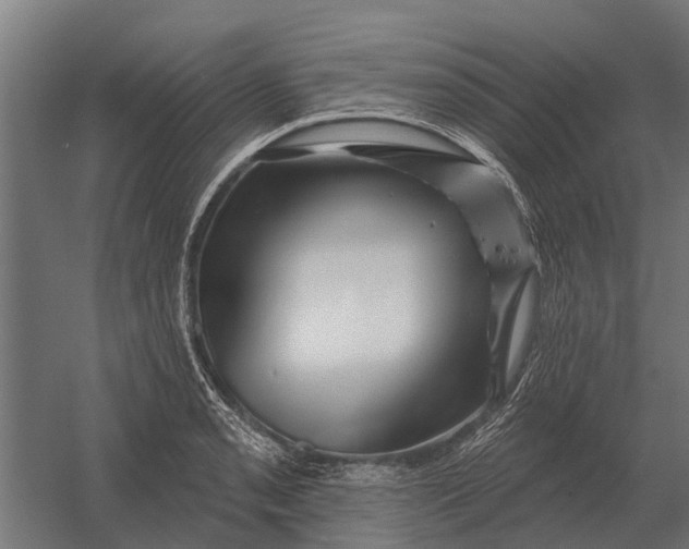 X0000052941085200507300012