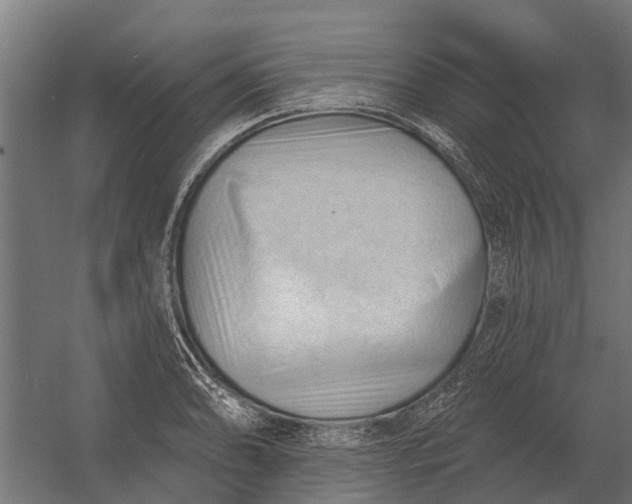 X0000052941086200507300012