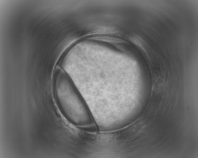 X0000052941087200507300012