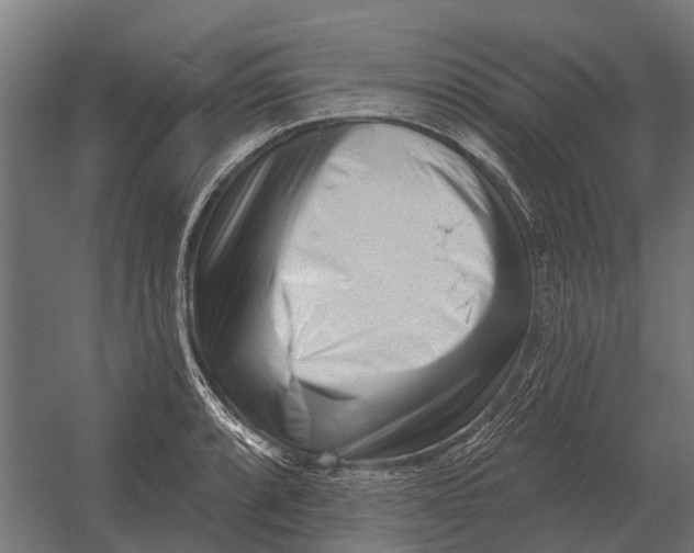 X0000052941088200507300012