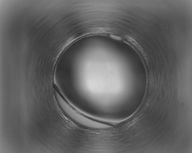 X0000052941089200507300012