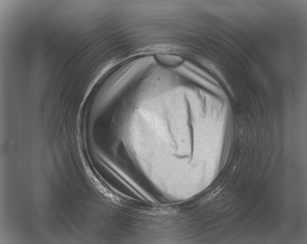 X0000052941091200507300012