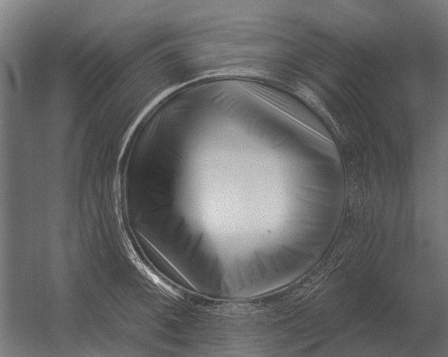 X0000052941092200507300012