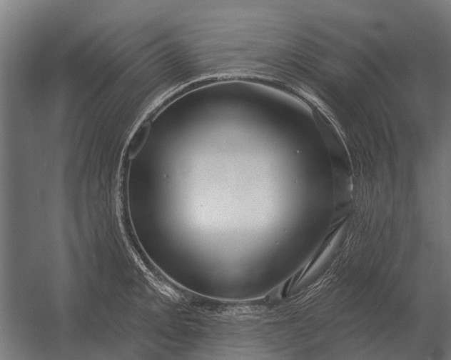 X0000052941093200507300012