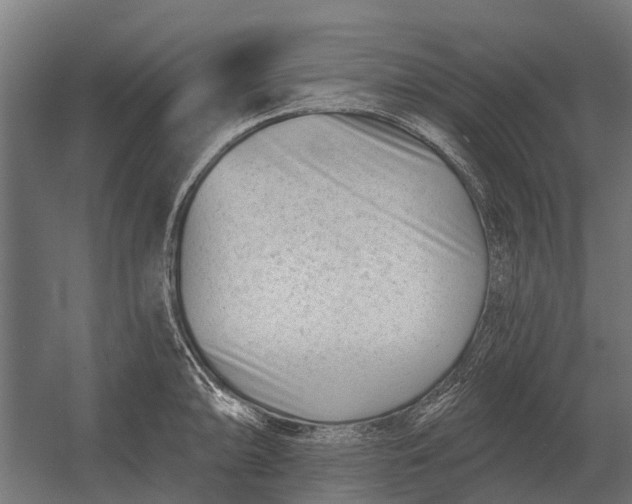 X0000052941094200507300012