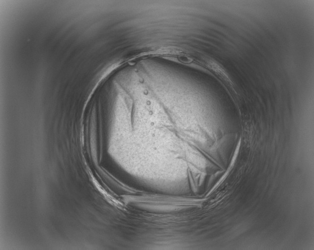 X0000052941095200507300012