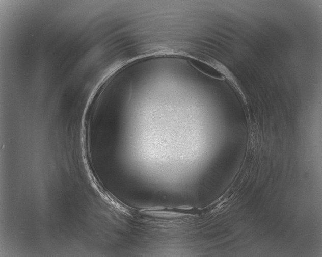 X0000052941096200507300012