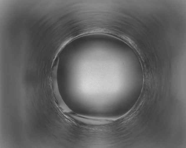 X0000052941097200507300012