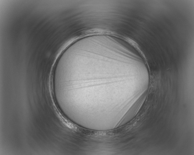 X0000052941098200507300012