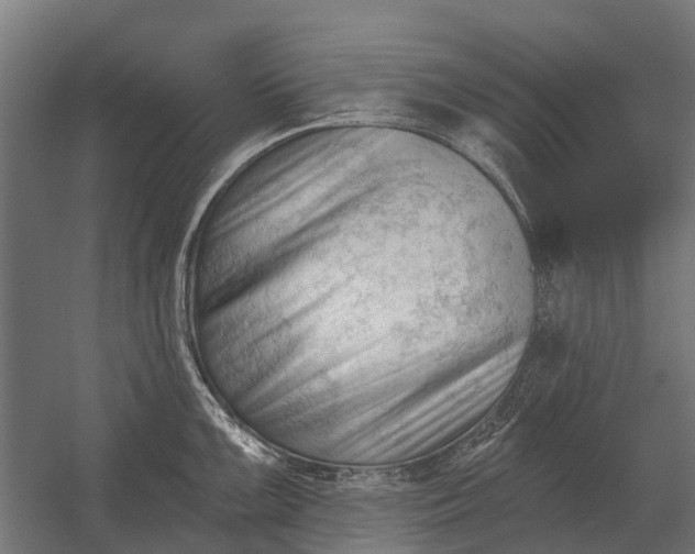 X0000052941099200507300012