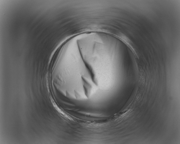 X0000052941100200507300012