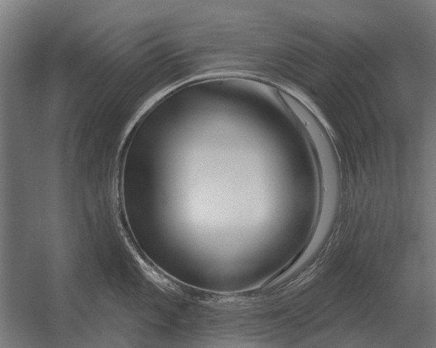 X0000052941101200507300012