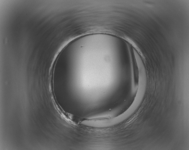 X0000052941102200507300012