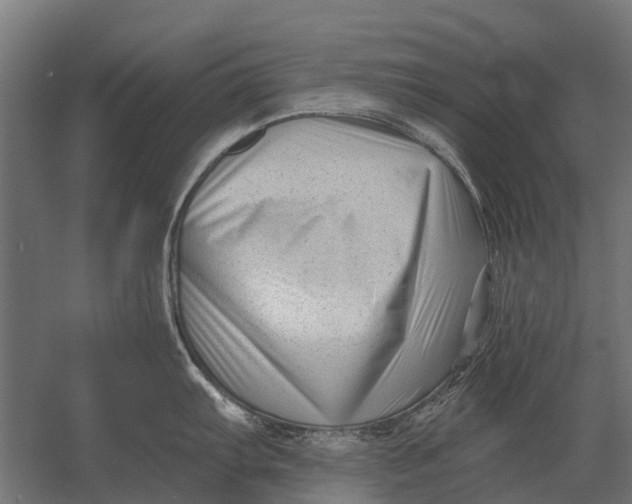 X0000052941103200507300012