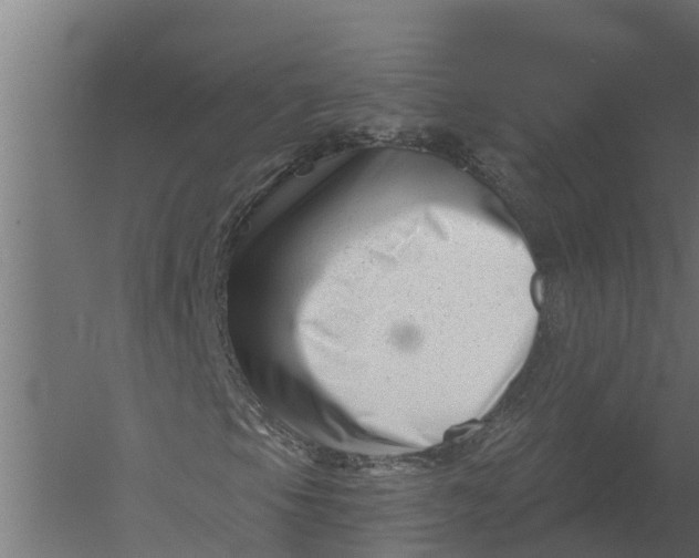 X0000052941105200507300011