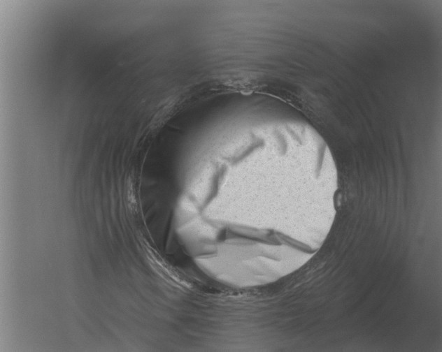 X0000052941106200507300011