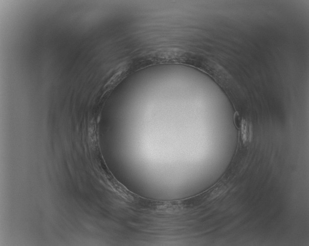 X0000052941107200507300011